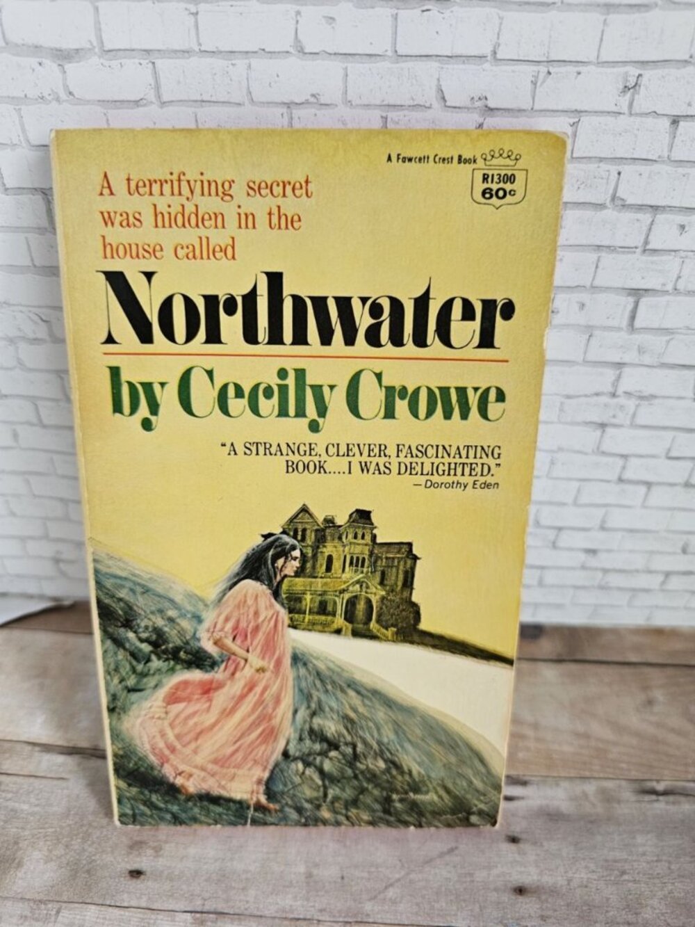 Vintage Gothic Novel Northwater by Cecily Crowe 1968 Romantic Suspense Rare HTF